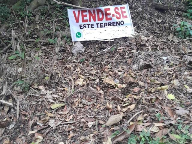 #133 - Área para Venda em Ribeirão Pires - SP - 1