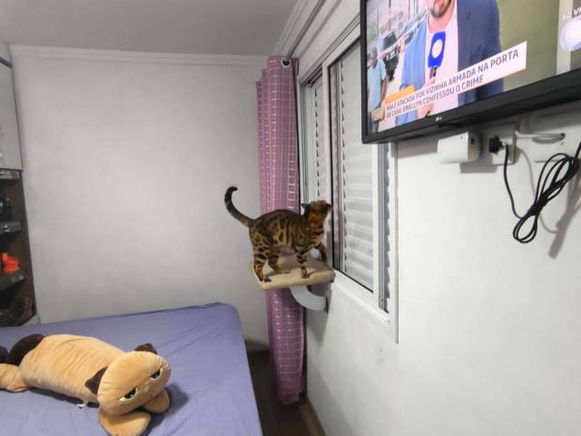 #140 - Apartamento para Venda em Santo André - SP - 2